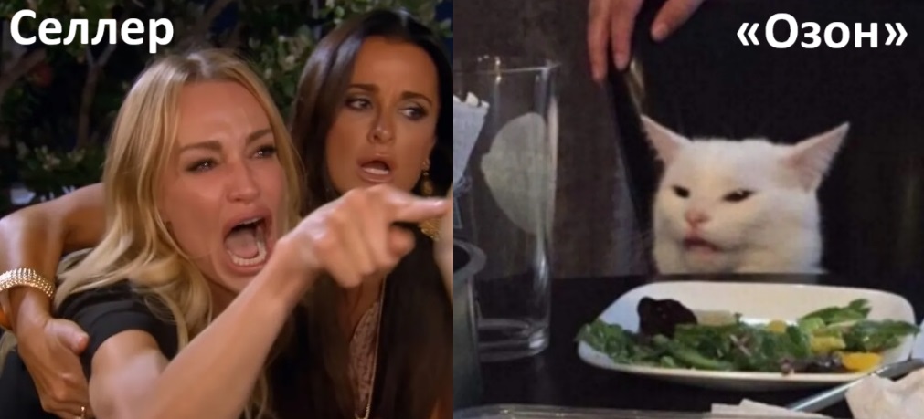 Гайд от диагноза «Как выйти на Ozon» до роли эксперта в кабинетах «Озон Селлер» - 5