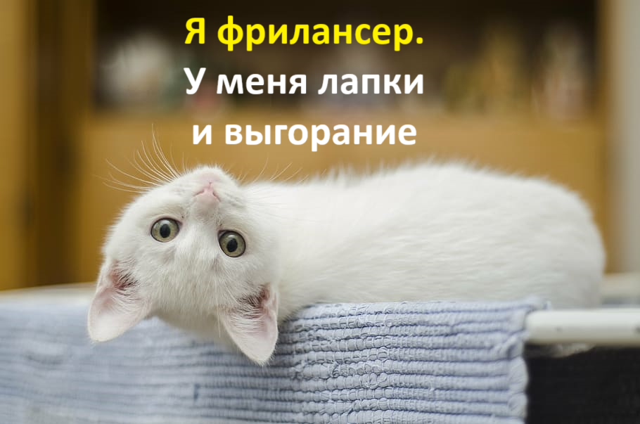 Гайд от диагноза «Как выйти на Ozon» до роли эксперта в кабинетах «Озон Селлер» - 6