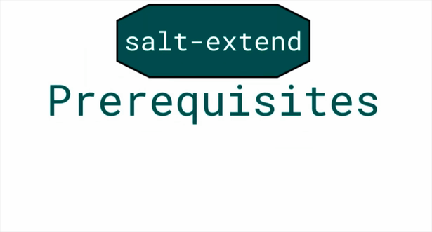 Salt Deconstructed. Часть 1 - 29 Salt Deconstructed. Часть 1 - 29