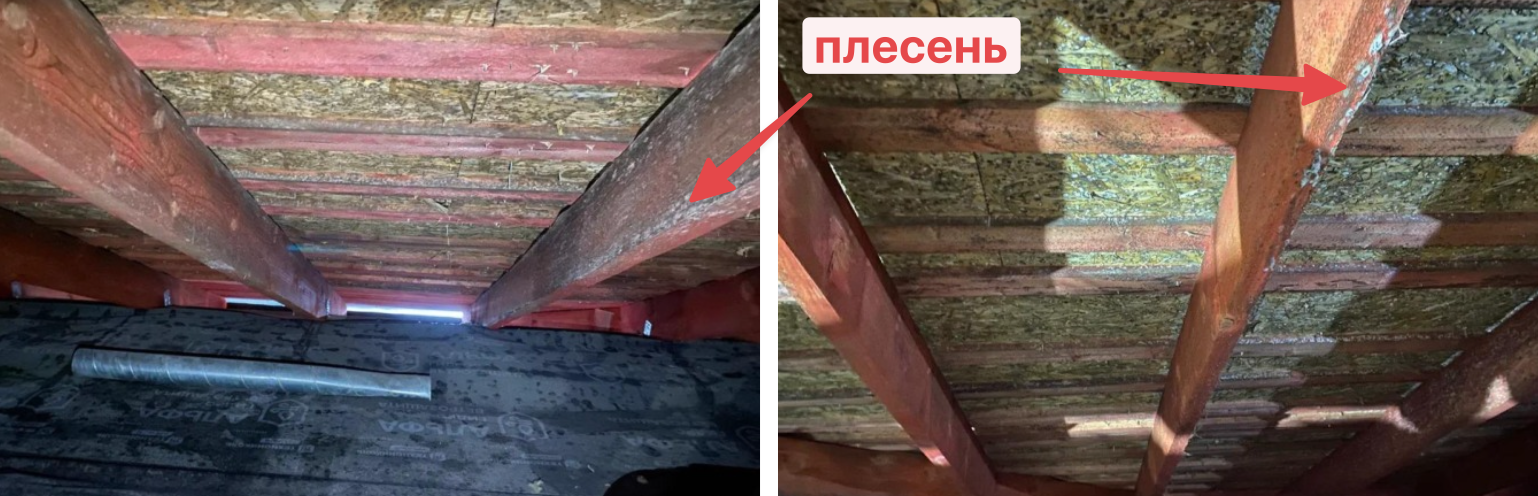 Пока на нижних этажах шли штукатурные работы и заливали стяжку, влага поднялась на чердак. А вентиляции там не было. Влага осела на холодных деревянных элементах, и в тёплой среде быстро появилась плесень. Т.е. люди еще заехать не успели, а уже проблемы.