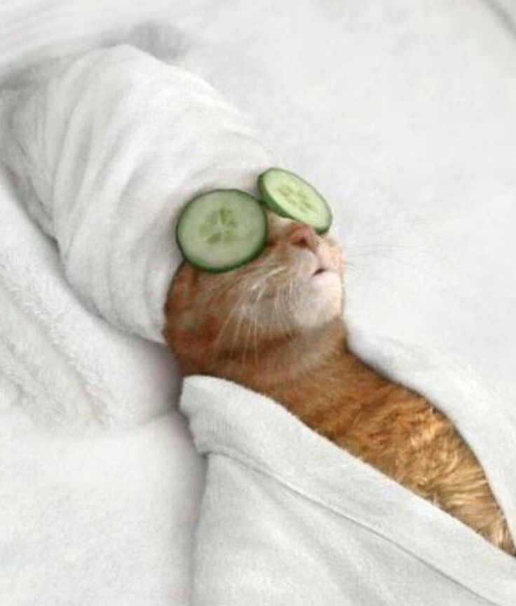 Ресурс исследователя: как проводить интервью и не поехать кукUXой - 11