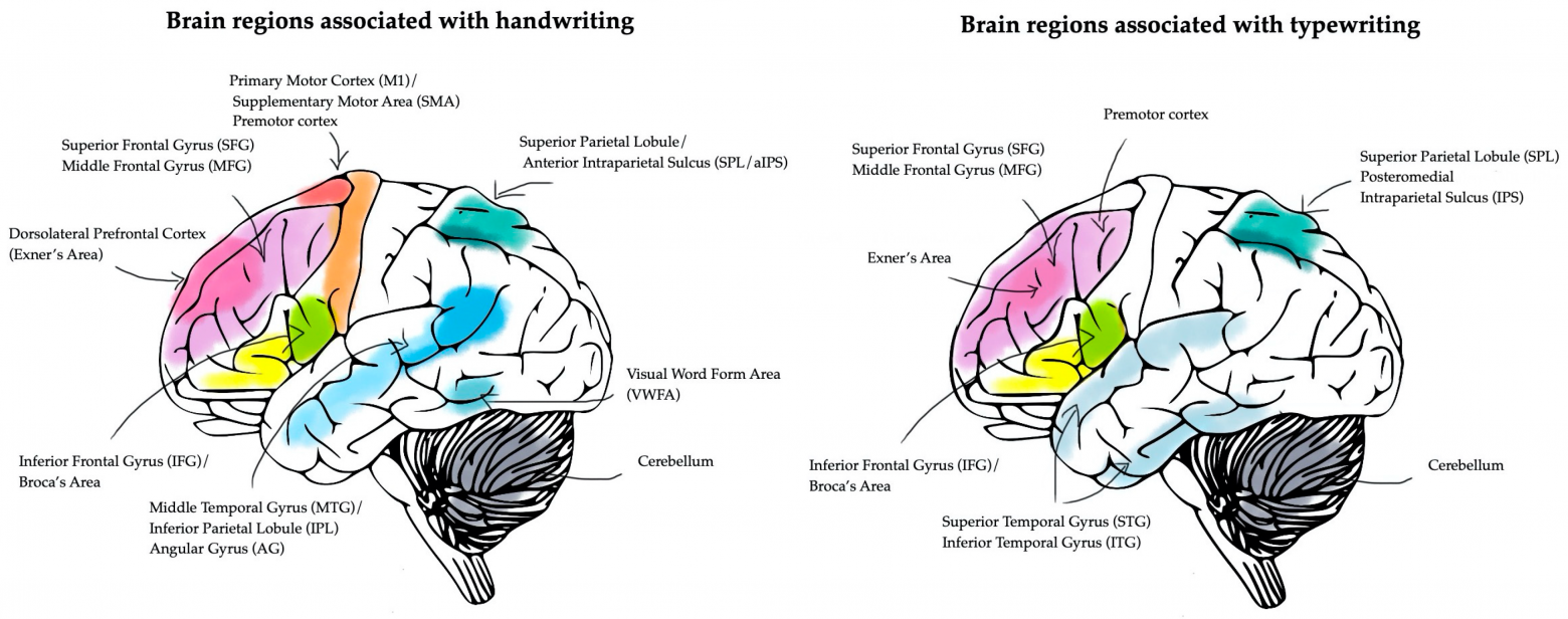 https://www.mdpi.com/life/life-15-00345/article_deploy/html/images/life-15-00345-g002.png