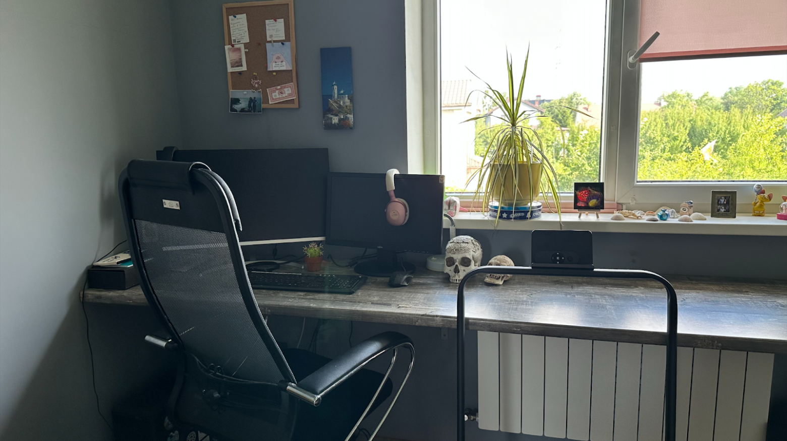 Это рабочее место PMO техлида Лены Гика, и у него есть три неоспоримых преимущества. Во-первых, трехметровый рабочий стол вдоль окна, во-вторых шаговая дорожка для созвонов и чтобы не засиживаться, в третьих — цветок на окне