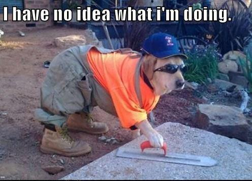 И кандидаты, и работодатели не понимают, что им делать