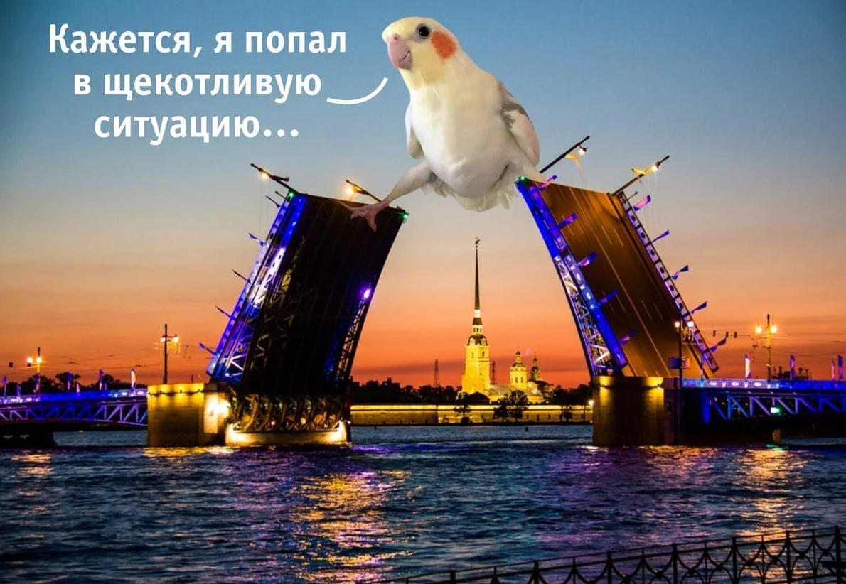 Когда ты  — единственный техписатель на проекте