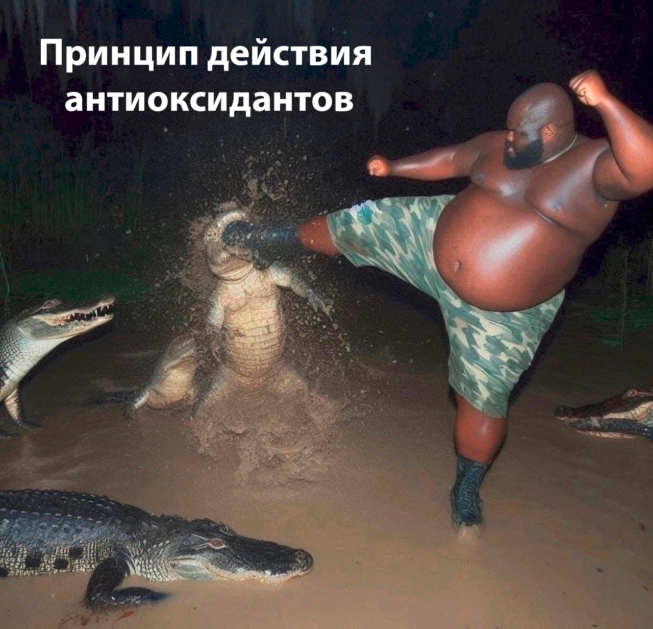 Цель антиоксидантов – сносить кабины свободным радикалам  