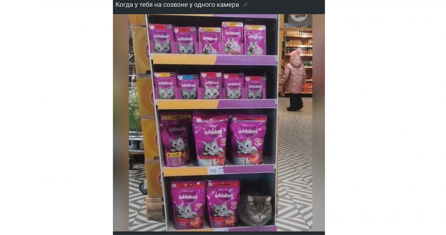 Когда у тебя на созвоне у одного камера