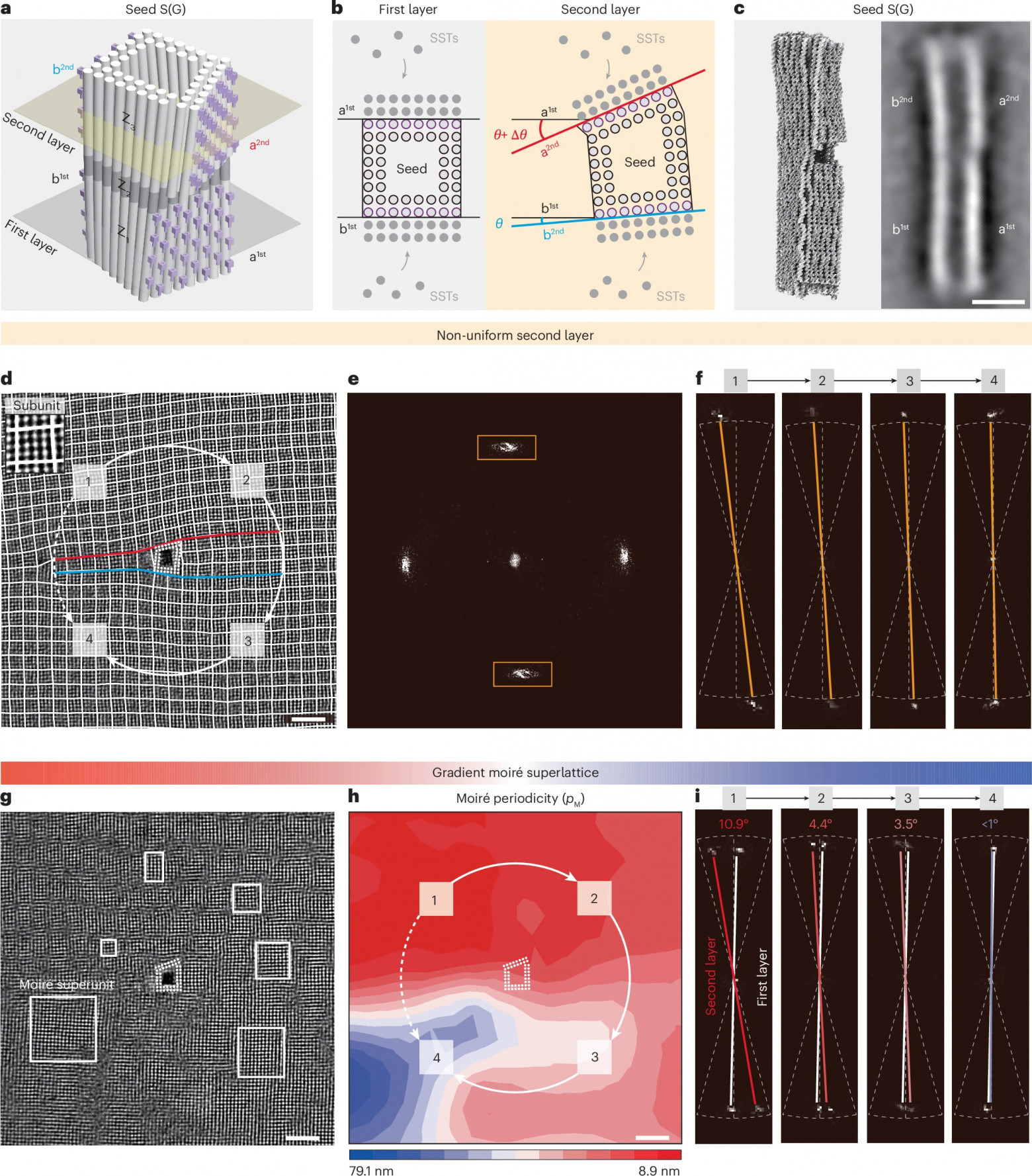 Муаровые сверхрешетки из ДНК - 5 Муаровые сверхрешетки из ДНК - 5