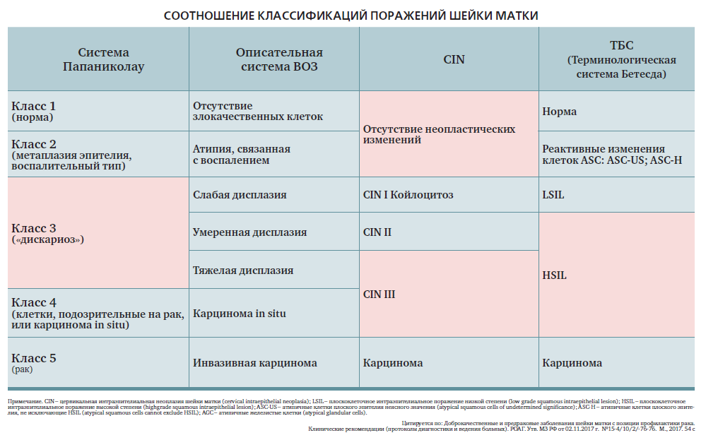 Риски ВПЧ: рак шейки матки и не только. Как этого избежать и почему мужчинам тоже нужно об этом знать? - 2