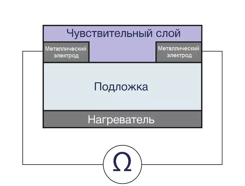 Плоский мир: как двумерная физика создает сенсоры будущего, оставляя кремний позади - 2