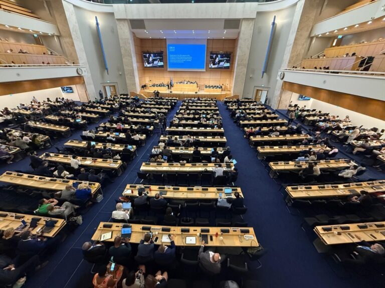 183 страны не смогли договориться: переговоры ООН по пластику снова провалились