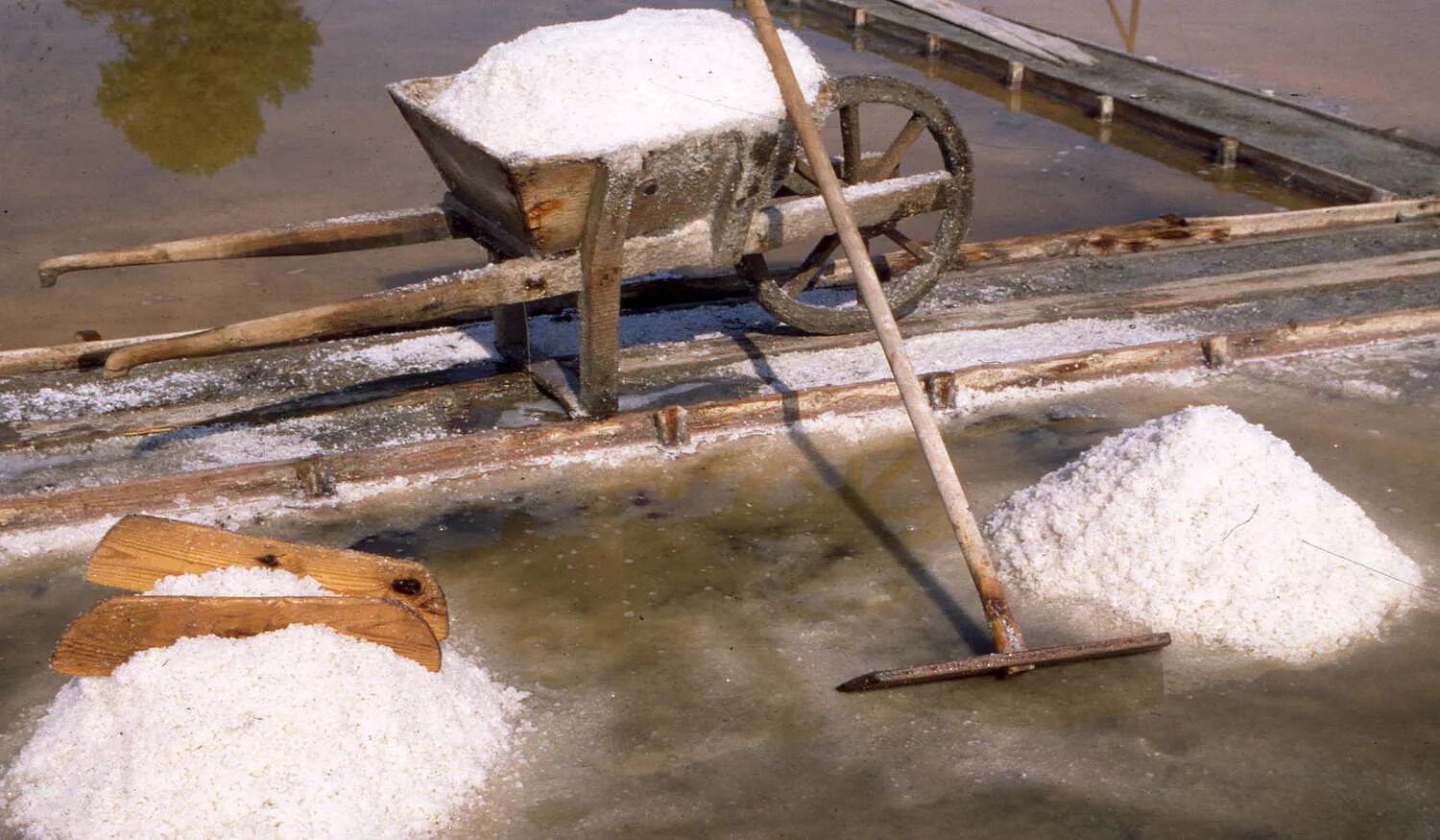 Соленый вопрос - 4