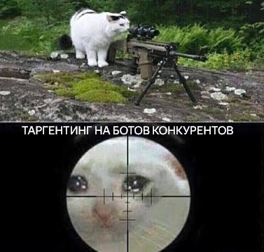 Это был смелый шаг, который привел нас к успеху