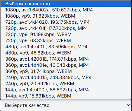 Выбор качества в интерфейсе (с указанием исходного контейнера и битрейтом)