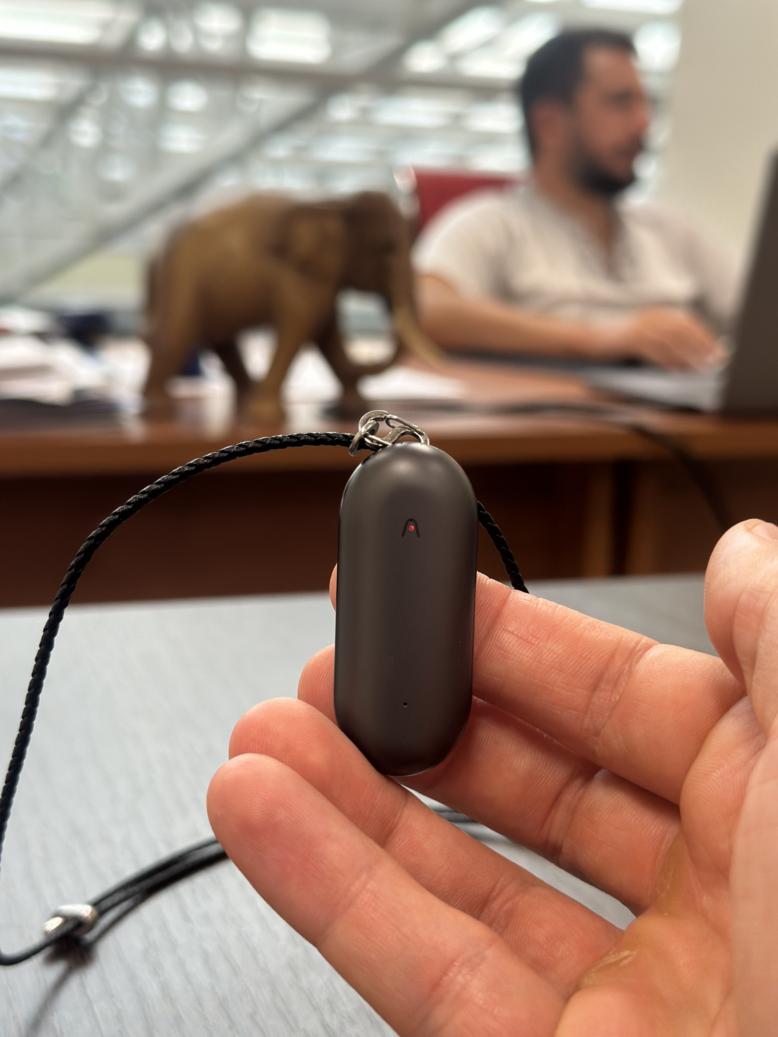 Plaud.ai: хороший стенографист, плохой напарник - 2 Plaud.ai: хороший стенографист, плохой напарник - 2