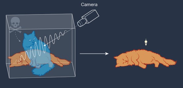 Что квантовая механика говорит о природе реальности? Физики сильно расходятся во мнениях - 9