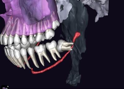 Diagnocat КТ Diagnocat КТ