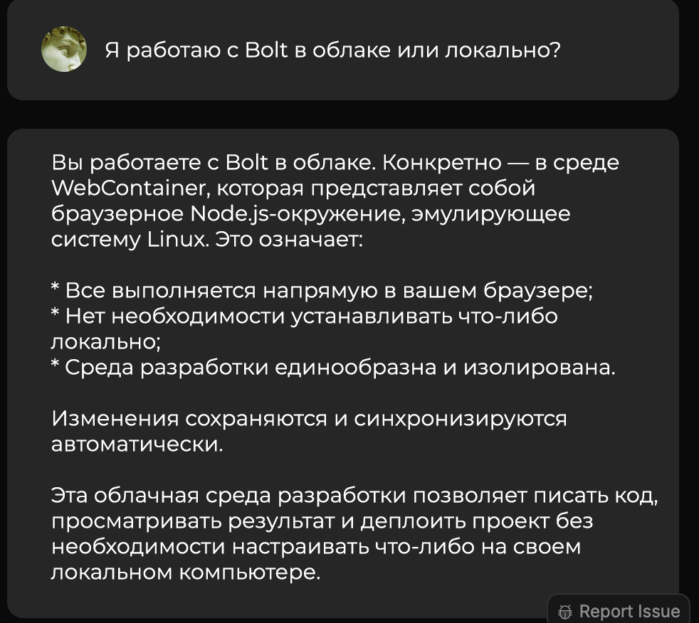 Знакомство с Bolt: подходит ли этот инструмент профессиональным разработчикам? - 5 Знакомство с Bolt: подходит ли этот инструмент профессиональным разработчикам? - 5