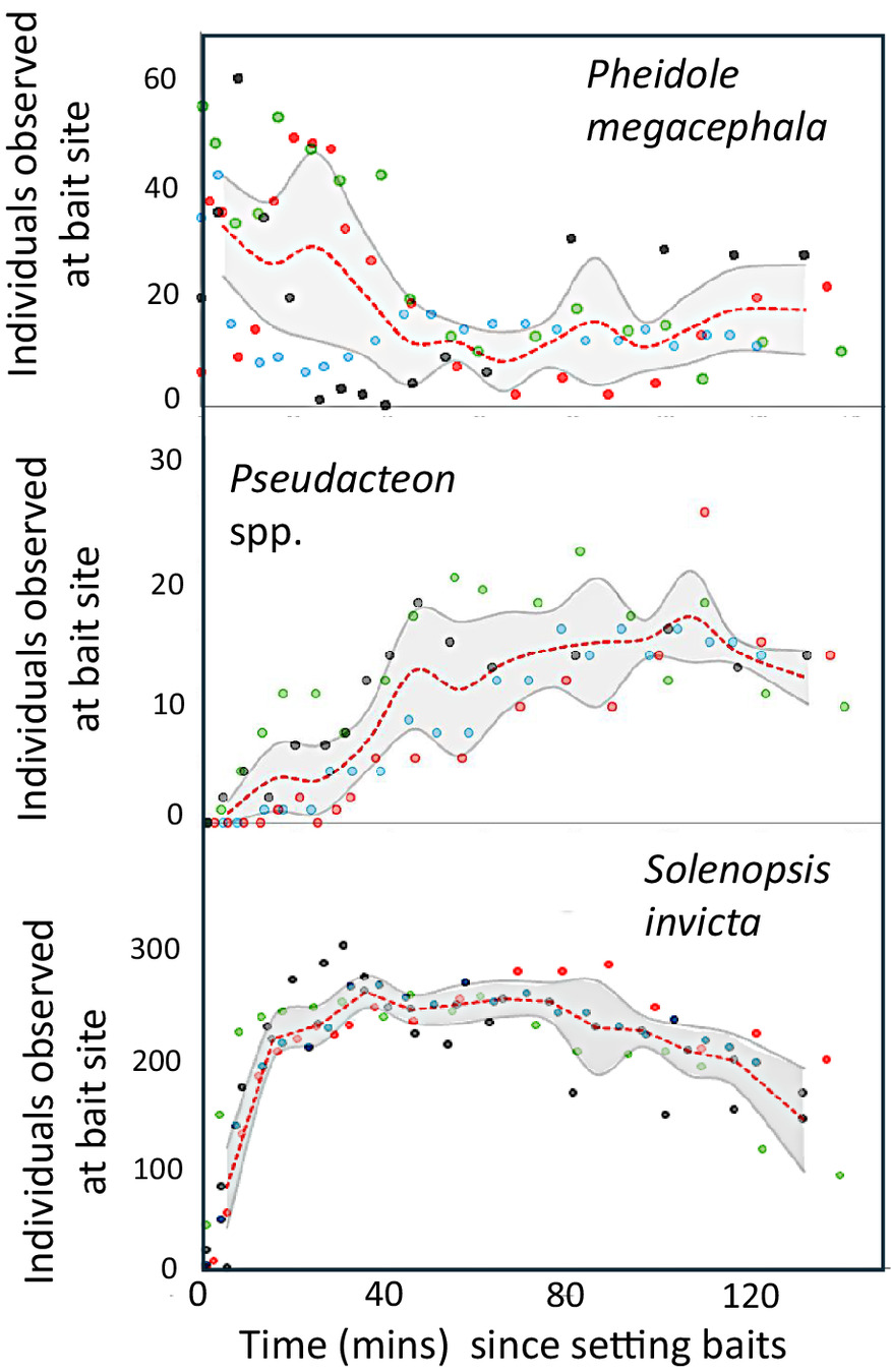 Понять хаос: сложный мир муравьев и мух - 3