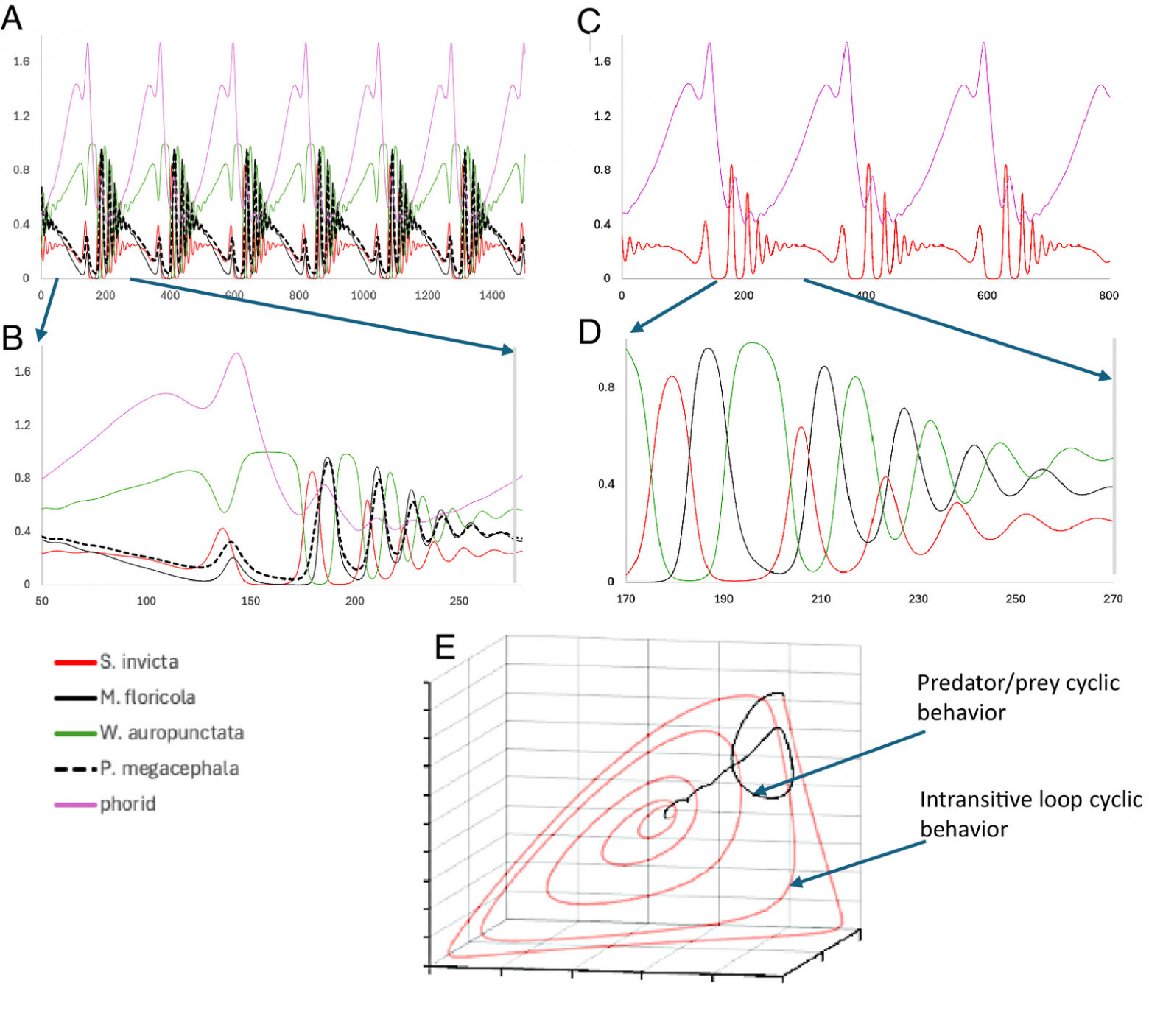 Понять хаос: сложный мир муравьев и мух - 7