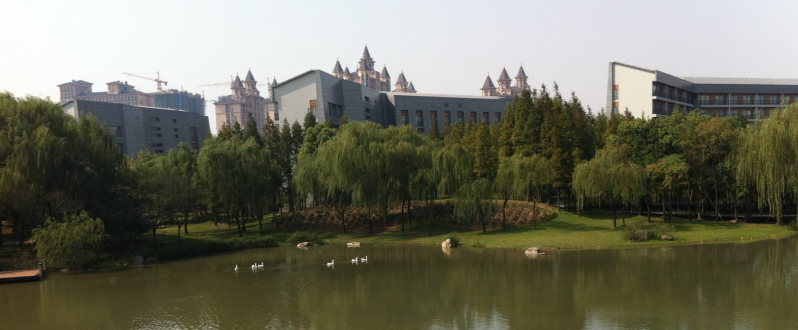 Наша аудитория располагалась в отдельном здании на искусственном острове в центре Академии. Вокруг плавали белые и черные лебеди.Фото из окна нашего класса на кампус.