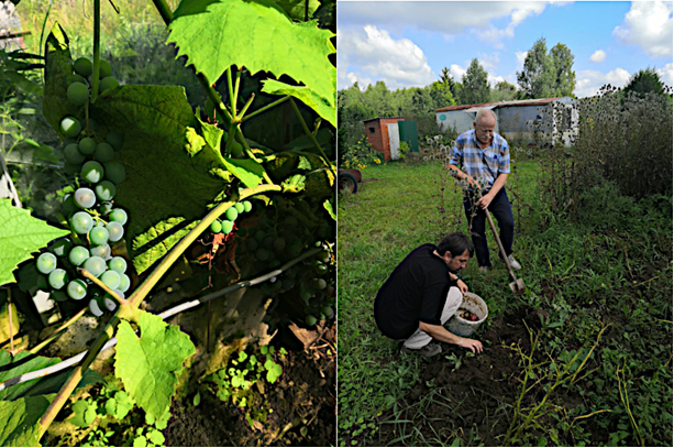 Путешествие IT-ишников по провинциальной России. Часть I - 12