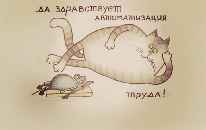 Автоматизация котов