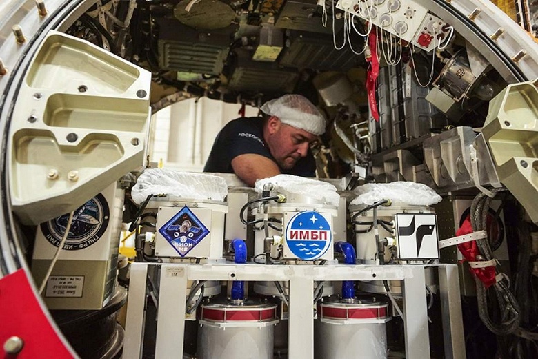 В РАН создано Управление по космосу