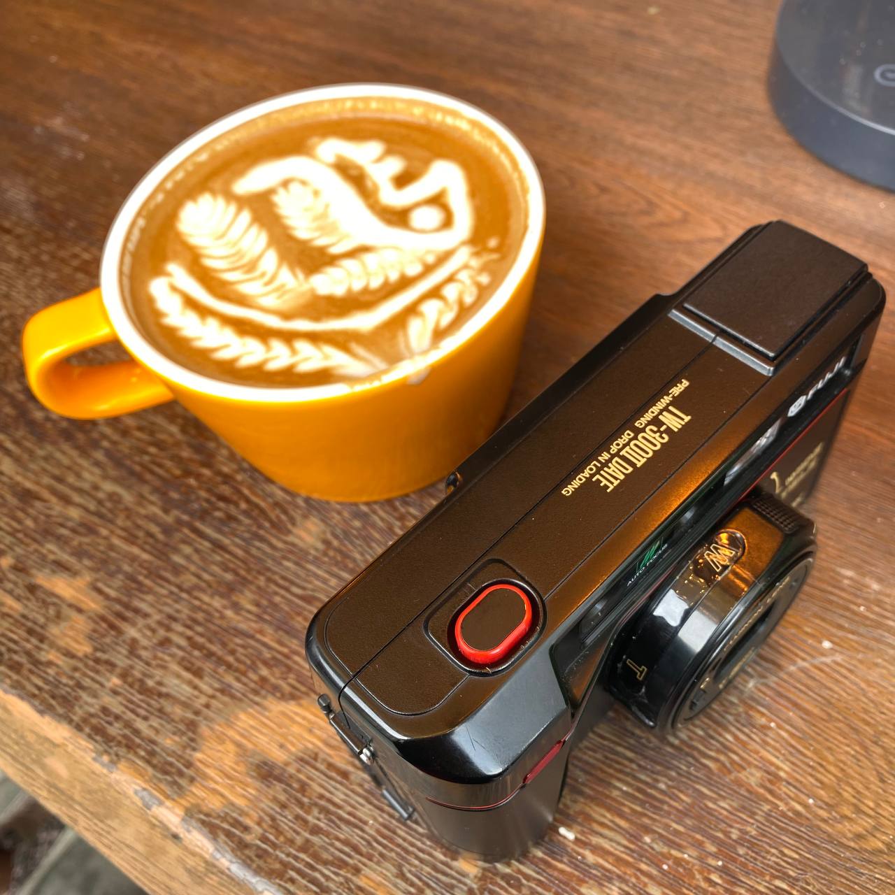 Камера будто создана для хипстерских фоток для соцсети с квадратными фотокарточками