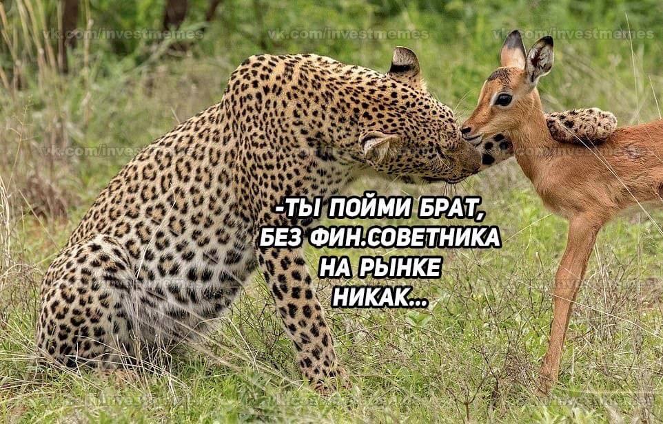 В общем, ситуация примерно такая