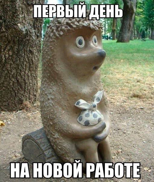 QA-инженер в продукте: как я ушёл из аутсорса и перестал паниковать перед релизом - 2 QA-инженер в продукте: как я ушёл из аутсорса и перестал паниковать перед релизом - 2