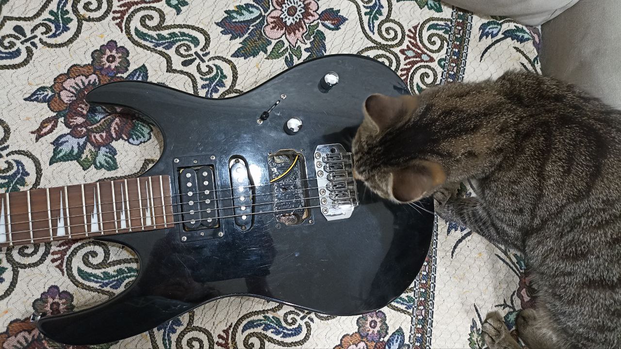 Ремонт винтажной электрогитары Ibanez GIO - 19