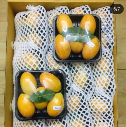 Мы заказали тайские фрукты — и случайно запустили бизнес на 10 миллионов в год - 4 Мы заказали тайские фрукты — и случайно запустили бизнес на 10 миллионов в год - 4