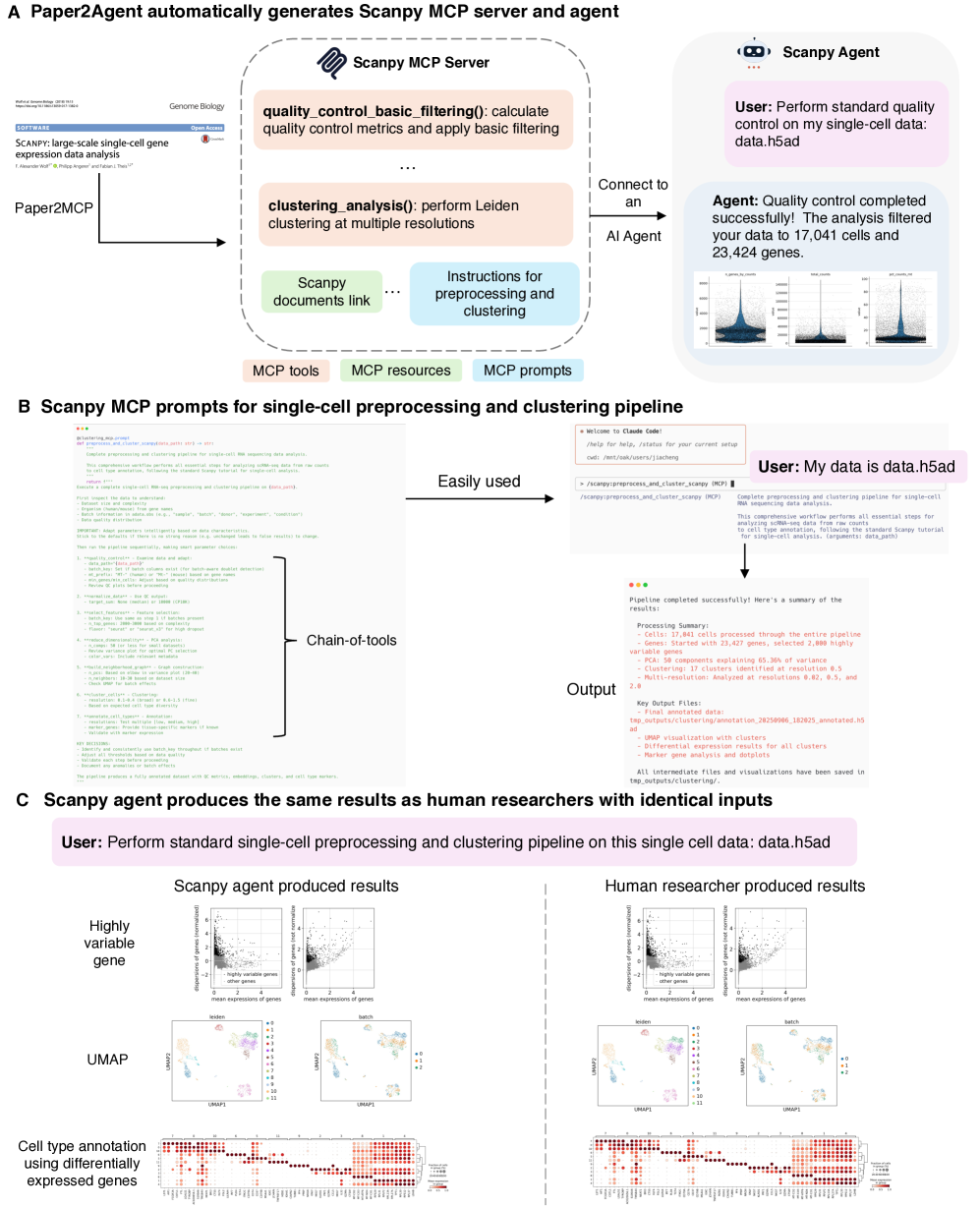 Обзор агента Scanpy, созданного Paper2Agent: (A) построение MCP-сервера и агента; (B) подсказки MCP задают стандартизированный конвейер предобработки и кластеризации одноклеточных данных; (C) агент воспроизводит результаты исследователя, требуя лишь путь к набору данных.