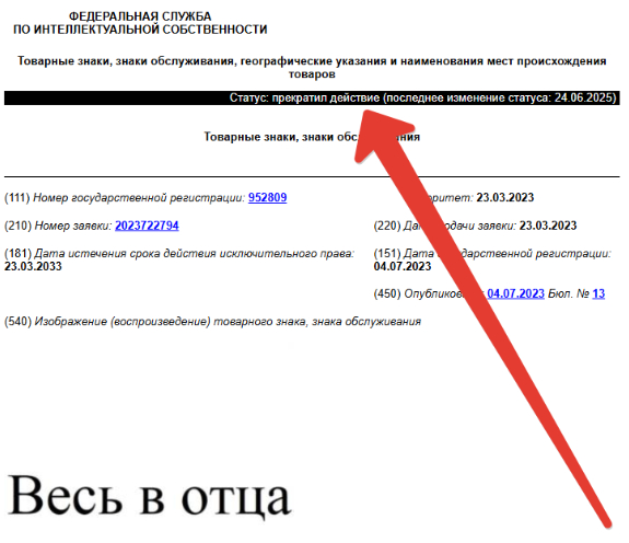 «Весь в отца»: они «запатентовали» надпись на одежде и потребовали с нас 1 000 000 рублей, угрожая судом и полицией - 8 «Весь в отца»: они «запатентовали» на себя смешную надпись на детской одежде и потребовали с нас 1 000 000 рублей, угрожая судом и полицией