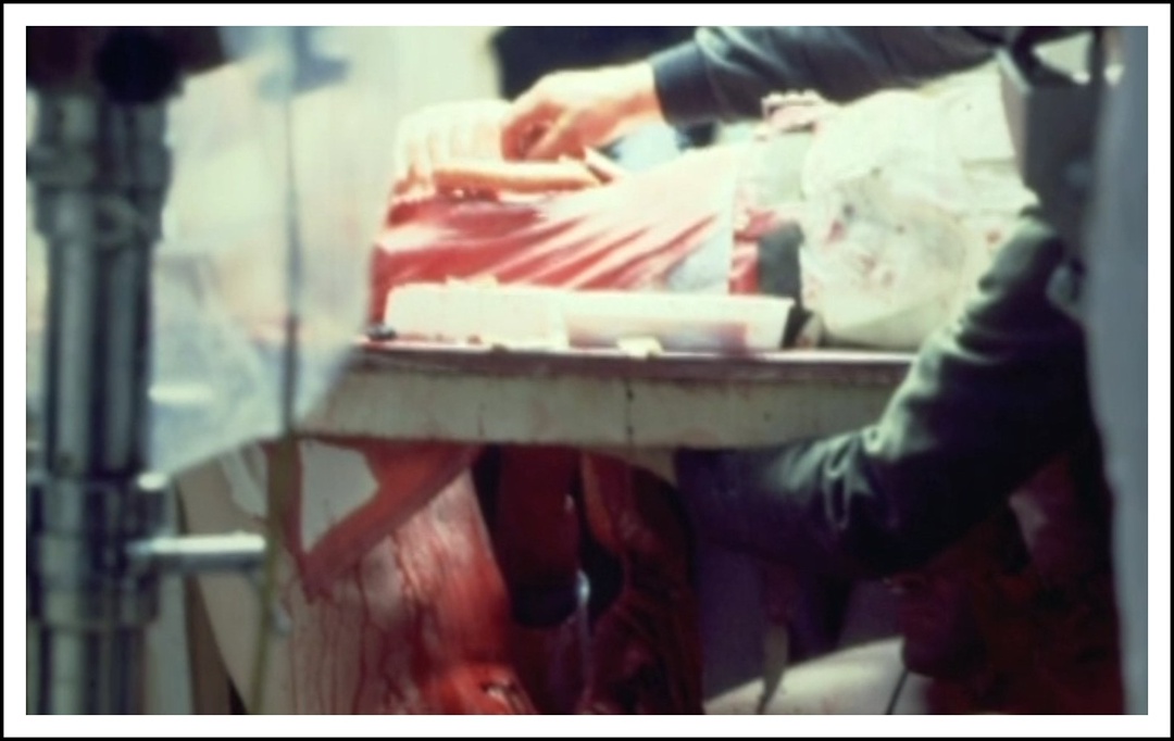 «Пенис с зубами»: как создавали и снимали самую эпичную сцену в «Чужом», изображение №33