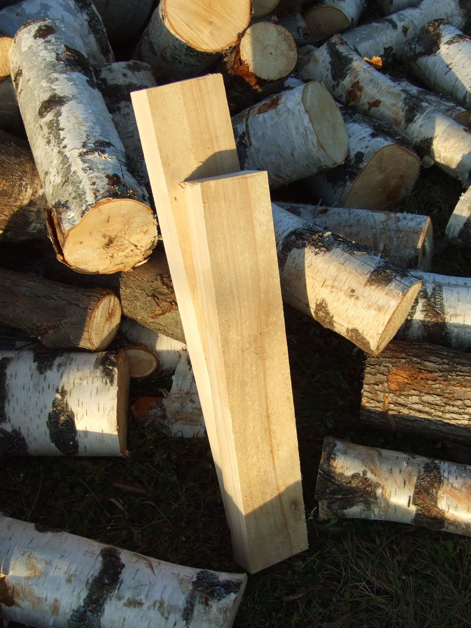 Фото 3.2. На циркулярной пиле доску необрезную превращаем в обрезную и нужной ширины, строгаем их