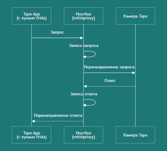 Я хотел пошпионить за своим псом, а в результате проследил за TP-Link - 2
