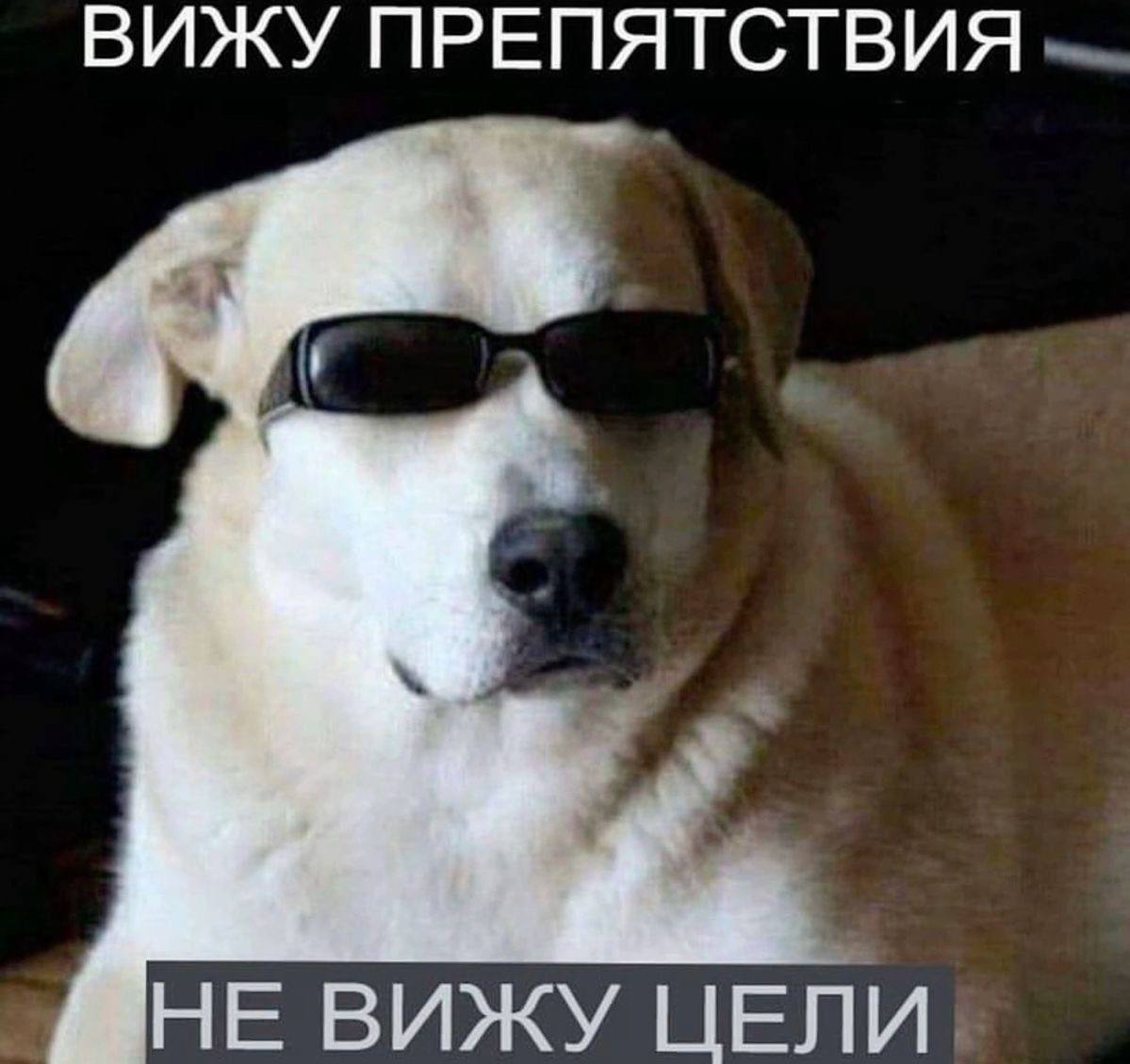 6 принципов эффективной коммуникации с коллегами (или нет?) - 2