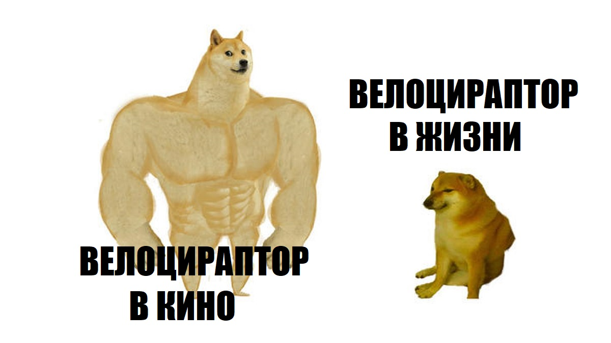 Индюк Мелового периода: что не так с образом велоцираптора - 3 Индюк Мелового периода: что не так с образом велоцираптора - 3