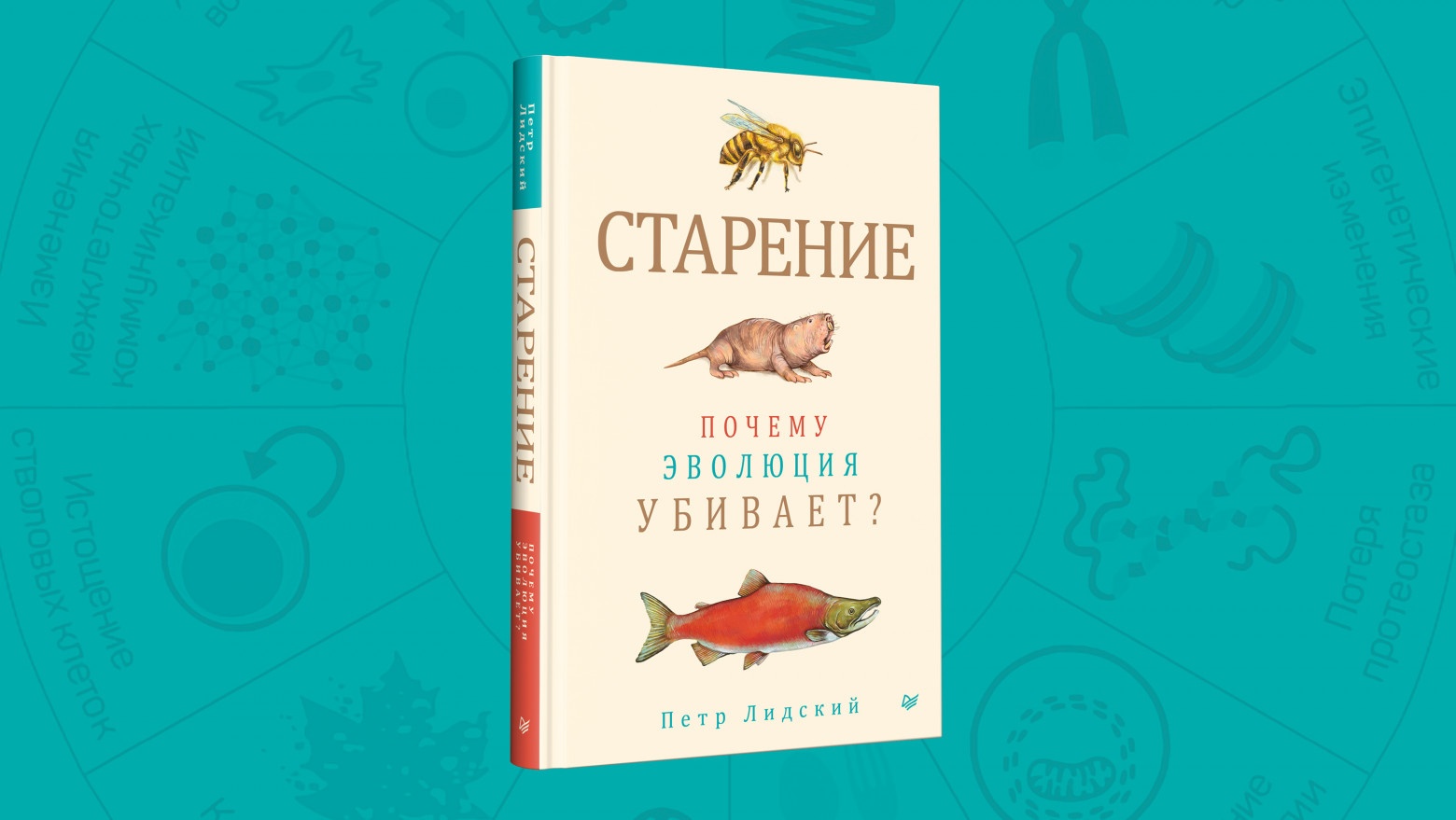 Книга:«Старение: почему эволюция убивает?» - 1