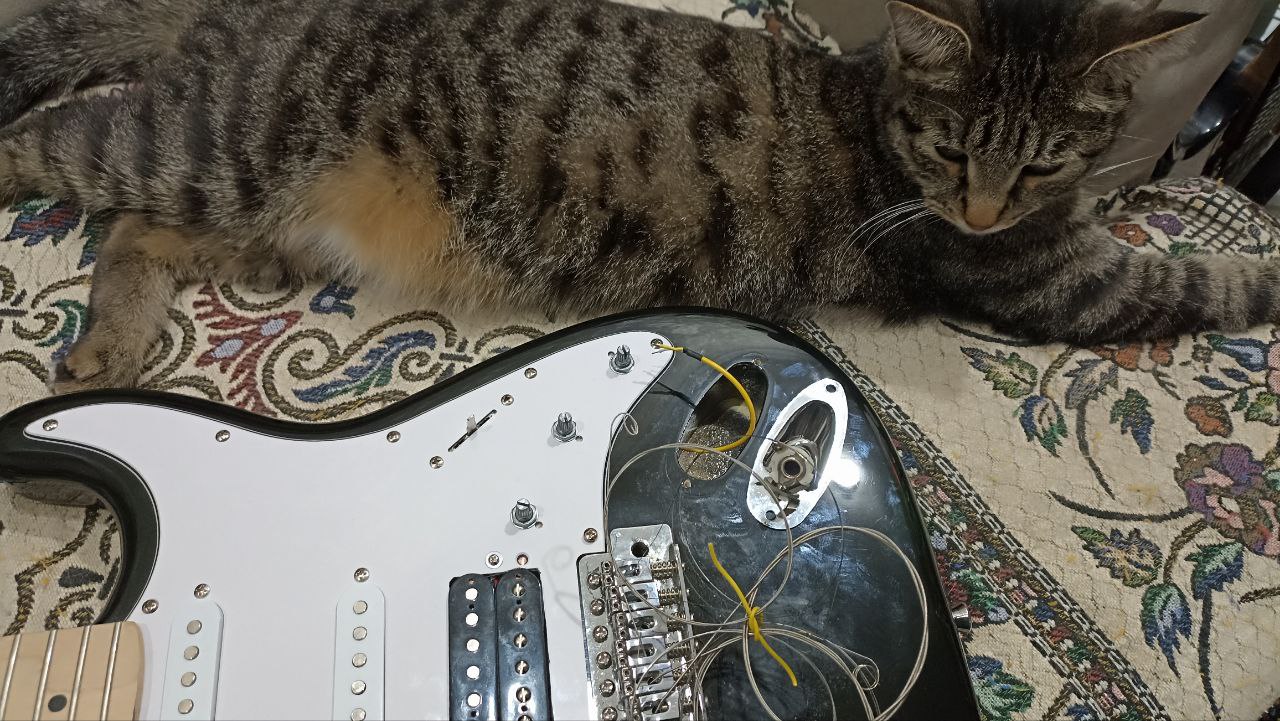 Установка бриджевого хамбакера на дешёвый стратокастер - 37 Установка бриджевого хамбакера на дешёвый стратокастер - 37