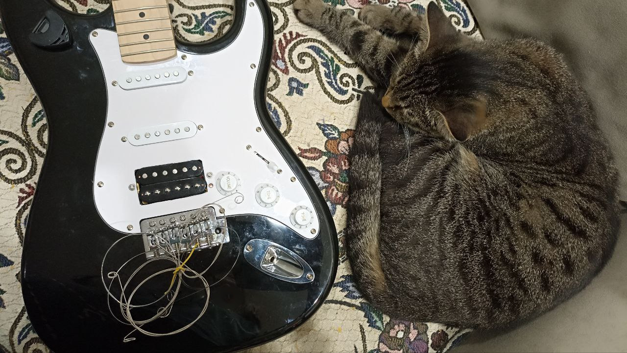 Установка бриджевого хамбакера на дешёвый стратокастер - 38 Установка бриджевого хамбакера на дешёвый стратокастер - 38