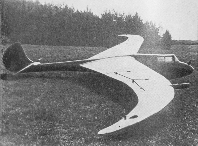 Планёр с серповидным крылом