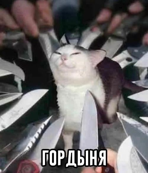 Finetuning без греха: как кастомизировать AI и не сломать его - 5 Finetuning без греха: как кастомизировать AI и не сломать его - 5