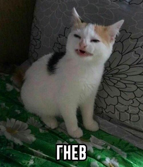 Finetuning без греха: как кастомизировать AI и не сломать его - 6 Finetuning без греха: как кастомизировать AI и не сломать его - 6