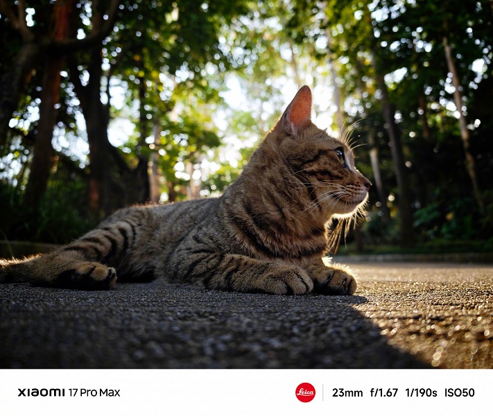 «Король съемки с контровым светом». Глава Xiaomi показал, как снимают Xiaomi 17 Pro Max и Xiaomi 17 Pro - 1 «Король съемки с контровым светом». Глава Xiaomi показал, как снимают Xiaomi 17 Pro Max и Xiaomi 17 Pro