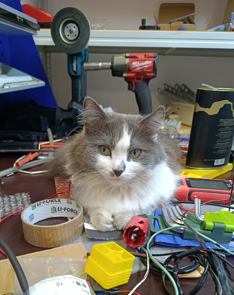 За соблюдением беспорядка будет следить - тётя Муха