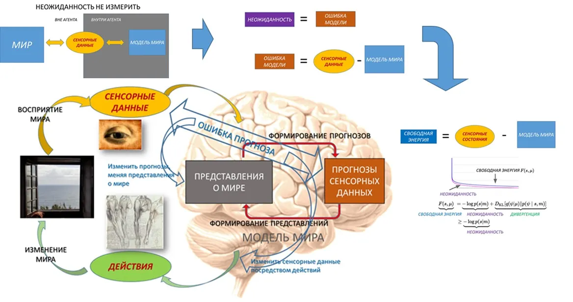 Принцип свободной энергии