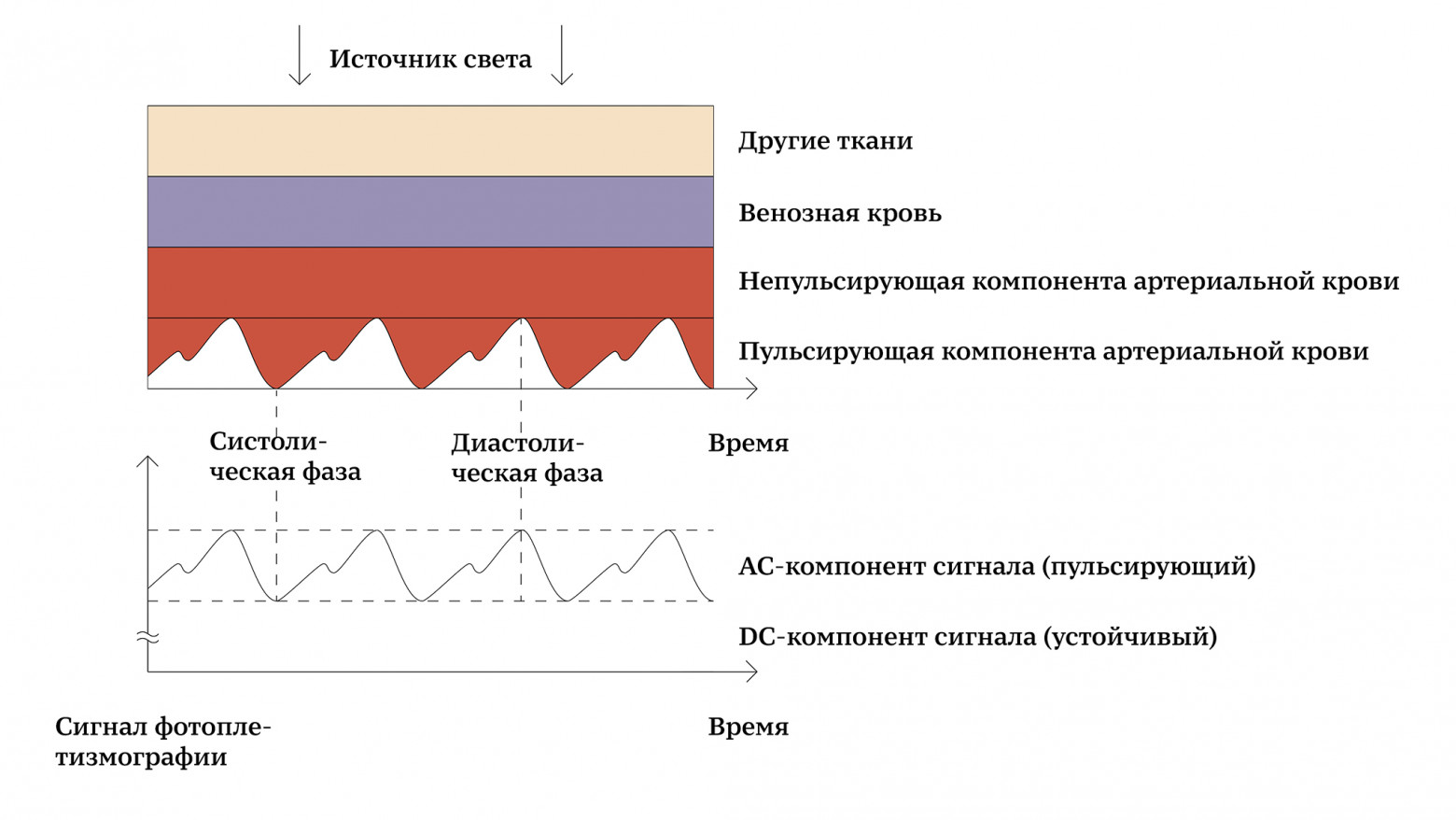 Ювелирная работа, или Как мы разрабатывали Умное кольцо Sber (часть 2) - 4